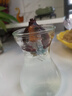 進(jìn)口風(fēng)信子種球特大球水培套裝四季水養室內耐寒綠植秋冬盆栽土培 【水培套裝】風(fēng)信子藍色1球+玻璃瓶+2袋營(yíng)養液 曬單實(shí)拍圖