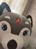 京白童子2025新款火焰哈士奇二哈抱枕毛絨玩具可愛(ài)玩偶陪睡狗狗生日禮物女 灰色-給你love一世溫柔： 約150厘米【填充優(yōu)質(zhì)pp棉 柔軟舒適】 曬單實(shí)拍圖