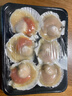 首鮮道 國產(chǎn)半殼大扇貝鮮活冷凍海鮮 半殼大扇貝1000g 10-12個(gè)（凈重） 曬單實(shí)拍圖