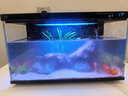 米家小米智能魚(yú)缸半年免換水定時(shí)喂食+畫(huà)法幾何沉木造景套裝 曬單實(shí)拍圖