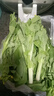 京喜加【東東買(mǎi)菜】湖北白菜苔新鮮當季菜心油菜苔農家現摘小菜蔬菜 露天種植 脆嫩 泡沫箱發(fā)貨 凈重5斤 曬單實(shí)拍圖