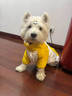 宜品達狗狗沖鋒衣狗狗防風(fēng)衣狗衣服秋冬保暖雪納瑞衣服泰迪法斗柴犬博美 常規款 S 胸35背25約3-4斤左右 曬單實(shí)拍圖