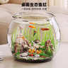 貝初眾魚(yú)缸小魚(yú)缸烏龜生態(tài)缸圓形塑料一體家用型桌面金魚(yú)缸自循環(huán)免換水 輕巧高透魚(yú)缸 24*18.5*19.5cm【大號】 高透pet仿玻璃材質(zhì) 裸缸 打不破 摔不碎 久用不糊 曬單實(shí)拍圖