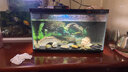 智宙小米魚(yú)缸背景板魚(yú)缸背景貼紙3d魚(yú)缸壁紙圖魚(yú)缸貼紙背景裝飾魚(yú)缸畫(huà) 洞穴水草【42.7*22.5cm】 曬單實(shí)拍圖