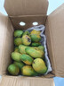 海南小臺甜心芒果臺農芒應季熱帶時(shí)令芒果水果整箱送禮 小臺芒凈重4.5-5斤單果80g+ 曬單實(shí)拍圖