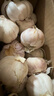 紫白皮蒜即食水果大蒜今年新鮮干蒜生鮮調料蒜瓣 大蒜帶箱2斤單果3.5-4.5cm 曬單實(shí)拍圖