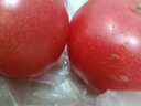 【減脂首負】正宗普羅旺斯西紅柿生吃番茄蔬菜沙拉生鮮超市快遞 彩箱 4.5斤 凈重 陜西普羅旺斯【兒時(shí)味道】 曬單實(shí)拍圖
