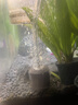 魚(yú)呼吸魚(yú)缸增氧氣泵配件 氣泡石*2個(gè) 家用水族箱加溶細化沙頭 曬單實(shí)拍圖
