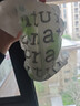 好奇（Huggies）小森林紙尿褲M(mǎn)42(6-11kg)尿不濕心鉆【透氧頂配更0痕】 曬單實(shí)拍圖