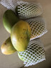 余悅海南金煌芒【多地次日達】新鮮水仙芒果青皮甜心芒果年貨禮盒送禮 帶箱5斤裝【單果250-350g/凈4.5斤】店家力薦 曬單實(shí)拍圖