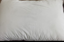 水星家紡枕頭枕芯酒店枕頭護頸枕頭芯家用單個(gè)純棉抗菌可水洗中枕48x74cm 曬單實(shí)拍圖