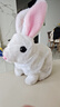 Honey Joy仿真毛絨兒童玩具兔兔會(huì )走會(huì )叫電動(dòng)寵物白色兔子禮物 曬單實(shí)拍圖