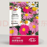 壽禾 除蟲(chóng)菊種子苗混色多年生庭院花卉種籽 除蟲(chóng)菊種子12g約4800粒 曬單實(shí)拍圖