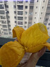 顧果鮮海南小臺芒9斤新鮮應季當季熱帶時(shí)令水果小臺農芒果整箱甜心芒 9斤凈重8.5斤 【大果】 曬單實(shí)拍圖
