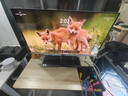 微星（MSI）極光MPG 321URXW QD-OLED32英寸 4K 240Hz 量子點(diǎn)OLED 0.03ms Type-C 90W 白色游戲電競顯示器 曬單實(shí)拍圖