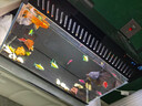 畫(huà)法幾何魚(yú)缸過(guò)濾材料 小米米家智能魚(yú)缸專(zhuān)用紅線(xiàn)物理濾芯半年免換水 曬單實(shí)拍圖