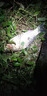 黑科技誘魚(yú)燈水下聚魚(yú)燈集魚(yú)燈超亮海釣夜釣神器聲波自動(dòng)釣魚(yú)神器 3個(gè)裝【遠岸聚魚(yú)】夏蓋更廣|深水效果翻倍 恒功率全自動(dòng)探魚(yú)器入水就亮 曬單實(shí)拍圖