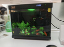 森森金麟超白玻璃魚(yú)缸一體缸自循小型懶人家用水族箱LE-380 曬單實(shí)拍圖