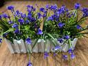 伊芙美 仿真花假花塑料花桌面墻角遮擋花槽擺設仿真綠植盆栽擺件郁金香柵欄花套裝 40CM白柵欄+尤加利+紫色郁金香 曬單實(shí)拍圖