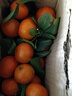 整箱正宗廣西砂糖橘新鮮當季水果沙糖桔橘子薄皮少籽多汁砂糖桔 砂糖橘帶箱2斤 曬單實(shí)拍圖