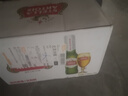時(shí)代比利時(shí)StellaArtois時(shí)代啤酒淡色拉格黃啤310ml*24瓶整箱 國產(chǎn)斯特拉時(shí)代【310ml*24瓶】 曬單實(shí)拍圖