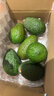 山姆大叔 金獎·哈斯牛油果【閃送】智利鱷梨非即食新鮮牛油果水果禮盒裝 【80%選擇】精品果丨約100-130g 6枚【熱銷(xiāo)* 超值推薦】普裝 曬單實(shí)拍圖