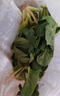 河南趴地菠菜露天霜打火鍋菜炒菜青菜新鮮菠菜現摘現發(fā)農家自種 250g新鮮現挖 曬單實(shí)拍圖