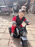 倍貝樂(lè )兒童電動(dòng)車(chē)摩托車(chē)1-3歲寶寶4-6歲小孩子三輪遙控玩具車(chē)可坐人 頂配灰【雙驅6V7+藍牙遙控+推把 男女寶寶六一兒童節過(guò)周歲禮物 曬單實(shí)拍圖