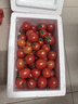 廣西紅色圣女果小番茄新鮮水果沙拉新鮮 超實(shí)惠帶箱5斤凈重4.9斤 曬單實(shí)拍圖
