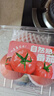 【水果菜】自然熟西紅柿約500g 曬單實(shí)拍圖