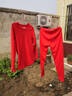 冬季女士保暖內衣套裝防寒圓領(lǐng)秋衣秋褲德絨發(fā)熱打底衫本命年大紅 本命年大紅色 【套裝】 3XL 建議140-160斤 曬單實(shí)拍圖