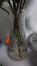 特大號玻璃花瓶桌面插花水養鮮花富貴竹高花瓶ins風(fēng)客廳裝飾擺件 【21高透明】大號錐桶水波紋 曬單實(shí)拍圖