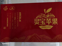 靈寶蘋(píng)果 LINGBAO APPLE2025正宗靈寶寺河山蘋(píng)果SOD紅富士富硒孕婦水果脆甜平安果禮盒裝 85mm-90mm(不含)中大無(wú)SOD標15果禮盒 曬單實(shí)拍圖