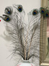 佐之尋孔雀羽毛擺件插花瓶的羽毛天然孔雀翎尾羽DIY裝飾品客廳花瓶擺件 孔雀毛（90-100cm6支） 曬單實(shí)拍圖