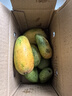 海南三亞小臺農大果當季臺農芒芒果皮薄肉厚純甜無(wú)絲爆汁【活動(dòng)】 單果60g+（帶箱子1斤） 曬單實(shí)拍圖