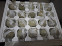 海鴨佬咸鴨蛋海鴨蛋20枚1280g真空裝 廣西北部灣紅樹(shù)林散養紅心流油 曬單實(shí)拍圖