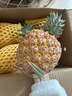 京鮮生 海南芒果鳳梨 凈重7斤單果650g 樹(shù)上熟新鮮水果生鮮 源頭直發(fā) 曬單實(shí)拍圖