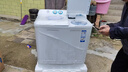 海爾（Haier）雙缸洗衣機 12公斤大容量半自動(dòng)家用洗脫分離 雙品質(zhì)電機 超凈洗  一級能效 家電換新補貼81D2 曬單實(shí)拍圖