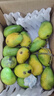 海南臺農芒果 熱帶水果臺農芒甜心芒新鮮雞蛋芒整箱批發(fā) 小臺芒凈重3.5-4斤單果60g+ 曬單實(shí)拍圖