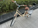 邦德·富士達 自行車(chē)女式24/26寸學(xué)生成人城市通勤復古淑女單速/7級變速買(mǎi)菜車(chē) 24寸鋁架單速 奶咖色 曬單實(shí)拍圖