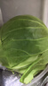 山東壽光新鮮青甘藍卷心菜新鮮包菜青綠卷心菜手撕包菜蓮花白爆炒 壽光甘藍2斤（凈重1.8斤） 曬單實(shí)拍圖