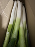 京鮮生山東正宗鐵桿大蔥凈重5斤脆嫩佐料輔餐源頭直發(fā)包郵 曬單實(shí)拍圖