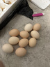 京喜加基地直發(fā)新鮮雞蛋谷物蛋大蛋50g生鮮超市早餐溏心蛋快遞包郵 雞蛋50克-10枚 曬單實(shí)拍圖