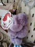 威爾通（WELTSTON）毛絨玩具玩偶鑰匙扣包掛飾生日禮物禮品女生水果葡萄兔毛背包掛件 曬單實(shí)拍圖