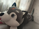 京白童子2025新款火焰哈士奇二哈抱枕毛絨玩具可愛(ài)玩偶陪睡狗狗生日禮物女 灰色-給你love一世溫柔： 約150厘米【填充優(yōu)質(zhì)pp棉 柔軟舒適】 曬單實(shí)拍圖