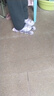 麥斯卡（Mesuca）&庫洛米聯(lián)名輪滑鞋女兒童直排輪溜冰鞋初學(xué)旱冰鞋閃光送禮物 曬單實(shí)拍圖