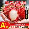 泰國紅毛丹新鮮水果5斤當季現摘毛荔枝毛丹果紅牡丹熱帶水果整箱3 5斤紅毛丹+順豐 曬單實(shí)拍圖