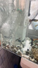 森森 小鯉魚(yú)缸過(guò)濾器凈水循環(huán)三合一內置水族箱過(guò)濾系統XQP-500F 6W 曬單實(shí)拍圖