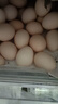 正大營(yíng)養蛋白 早餐食材 健康 禮盒裝 可生食富硒雞蛋30枚 1.68kg 曬單實(shí)拍圖
