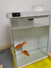 京東京造智能生態(tài)魚(yú)缸PRO家用免換水全自動(dòng)循環(huán)投喂過(guò)濾一體缸桌面魚(yú)缸白 曬單實(shí)拍圖